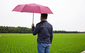顏寬恒喊是這塊土地的主人 網翻資料大驚：真的耶