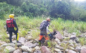 持續搜索失蹤劉姓女童 搜救犬與地方識途並進虎豹潭擴大搜救