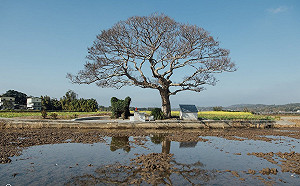 第3波客庄券9萬名得主出爐！身分證末碼「這2組」幸運中獎