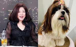 陳文茜在家暈倒8分鐘！愛犬「慌張1舉動」竟救了她一命