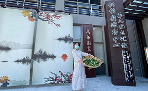 松柏嶺遊客中心變身「茶文化」主題館 謝坤山書藝陶刻開幕首展