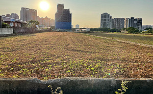 桃市342公頃污染農地全數解列 土地生機重現