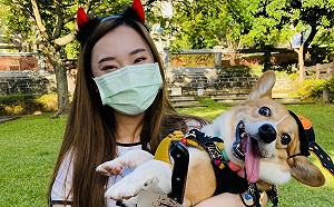 新北淡水古蹟博物館呼叫鏟屎官 萬聖節帶毛孩來跑趴