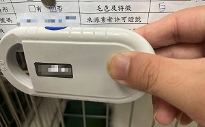 新北1年廢止7家違法寵物業者 盼中央修法補漏洞