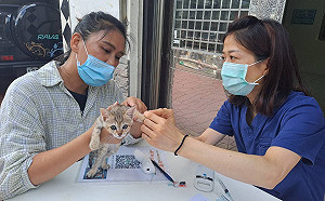 新北動保處推行動醫療站 守護偏鄉2531隻毛寶貝健康