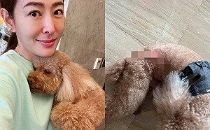 賈永婕晨跑遇驚魂！愛犬遭攻擊「身上4個洞血痕照」曝光