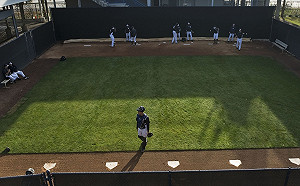 這也算嘲諷動物？PETA要求MLB禁用「牛棚」一詞