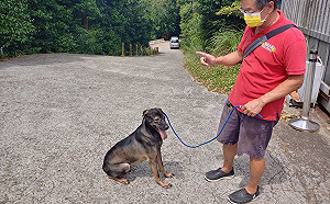 聽懂毛寶貝說話 新北訓犬師已促成21犬隻被認養