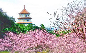 新北流域治理水生態系列　探索淡水公司田溪漫遊忠寮里