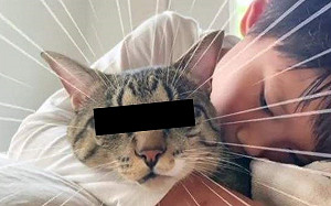 (影)男孩抱貓牠卻翻白眼！網笑：太厭世