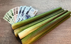 新北當季茭白筍新鮮開賣 五倍券超優惠輕鬆帶回家