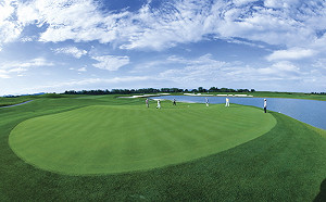 日產車禁止出入！南韓高爾夫球場下禁令 挑起韓日情仇