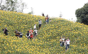 國旅正夯！農委會推薦500條農遊行程任你玩翻天