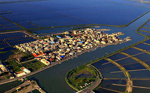 金馬影后帶路遊台南！陳淑芳擔任觀光大使宣傳府城慢生活