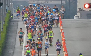 11/20「我金山我驕傲」開跑 11/8-16加開100名額報名