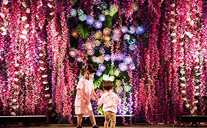 嘉義市「光織影舞」燦爛奪目  互動投影親子同樂