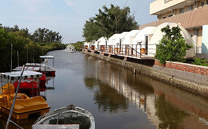 台南五倍券旅遊指南！「食宿遊購行」各項優惠懶人包