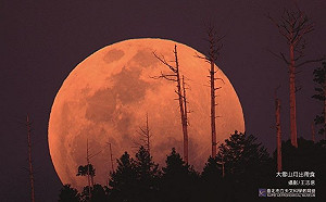 年度壓軸天文大景！「月偏食」11/19登場全台可見