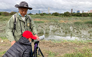 候鳥來訪！「華江雁鴨自然公園」免費生態導覽11/20登場