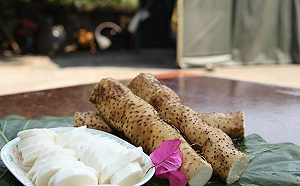 食藥署抽驗市售進口食品 日本山藥6件標示不符規定