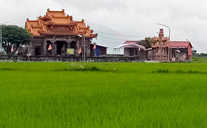 擲出聖杯就有精采好禮!台東好米收冬祭活動「歌.禾」明盛大登場