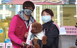 光棍節不孤單  新北1 1 One's day毛寶貝認養會