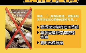 傳「索馬里」500噸帶蟲香蕉運抵台灣 陳吉仲:100%假消息 勿信、勿轉傳