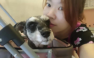 新北動保處助寵物對抗糖尿病  籲飼主注意毛寶貝三多一少