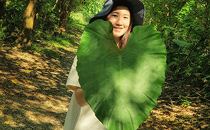 新北秘境-「大漢溪濕地綠色隧道」