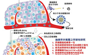 亞東+陽明共同研發抗癌創新奈米級藥物 成效刊登國際科學期刊