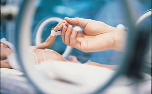 新北三橋閃耀紫燈 為早產兒點亮守護之光