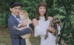 孟耿如懷孕3個月!黃子佼PO已逝愛犬照:元寶你要來找我們了嗎?