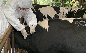 大學生參與解決城市問題 新北市府致贈「公共服務行動包」