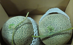 最新邊境檢驗！17項產品不合格：智利蘋果、日哈密瓜中標