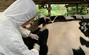 不只蚊子會吸血 新北邀專家傳授防治牛結節疹等蟲媒疾病