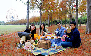 天冷它就紅了!中部最大落羽松秘境首度開放野餐