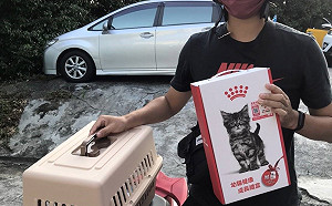 新北毛寶貝認養再加碼 線上專業諮詢伴飼主走過新手期