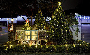 2021高雄眷村嘉年華 歲末年初岡山左營鳳山接力登場