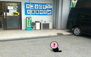 黑貓站物流公司前!網笑:來應徵?