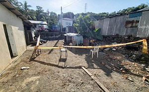 比特犬咬死童 動保人士:家長負責