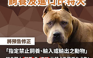 働！屏東三歲童遭鄰居比特犬咬死 「胸腔到肚臍全扯開、臟器外露」