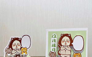 民進黨推創意公投文宣 Q版蔡英文比「4個不同意」小卡曝光