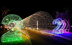 台中日夜都精彩！ 「爭妍show艷」首波點燈迎佳節