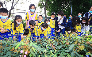 盧秀燕三年完成109座共融公園 高雄議員按讚要借鏡