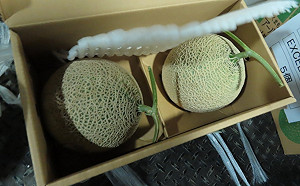 最新邊境檢驗!20項產品不合格:農藥殘留量超標達13件