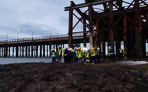 「英年藻逝」? 鄭正鈐揭三接棧橋狠狠插在藻礁上 批蔡英文說謊