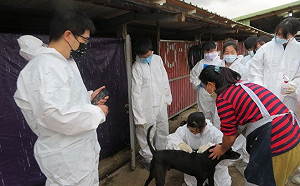 新北結合台大獸醫系巡迴民間動物收容所防疫 一舉多贏