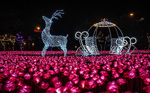 山谷燈光節點亮大梨山 全台最高耶誕樹為台灣祈福