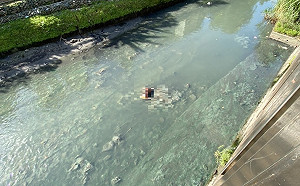 悚!新北永和驚現「人彘無頭浮屍」警不排除涉20億毒品案遭遷怒分屍