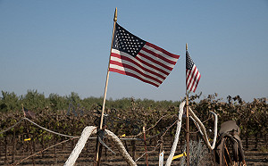 美國竟然還有奴隸農場 移工被槍指著徒手挖洋蔥 一桶才賺5.5元 還有人被強姦